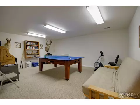 109 E Chestnut St, Windsor, CO 80550 photo 19