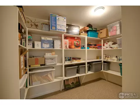 109 E Chestnut St, Windsor, CO 80550 photo 8