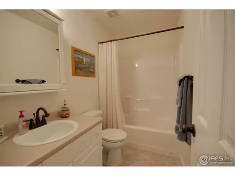 109 E Chestnut St, Windsor, CO 80550 photo 12
