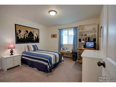 109 E Chestnut St, Windsor, CO 80550 photo 11