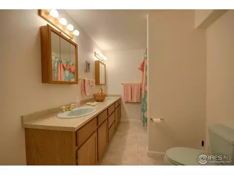 109 E Chestnut St, Windsor, CO 80550 photo 13