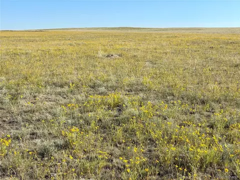 Carpenter Rd, Peyton, CO 80831 photo 2