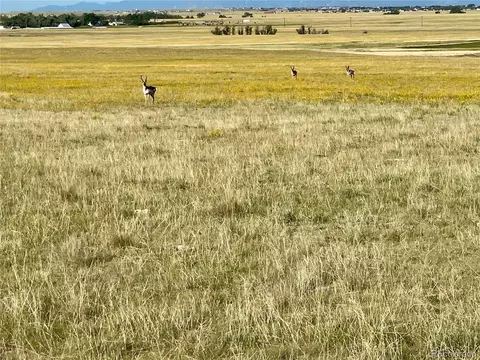 Carpenter Rd, Peyton, CO 80831 photo 10