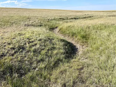 Carpenter Rd, Peyton, CO 80831 photo 14