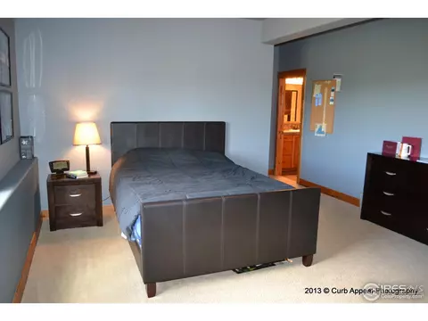 1374 Eagle Ct, Windsor, CO 80550 photo 17