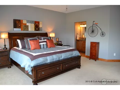 1374 Eagle Ct, Windsor, CO 80550 photo 12