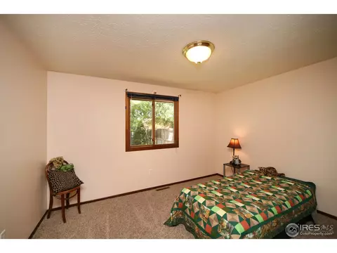 1503 Willow Dr, Berthoud, CO 80513 photo 15