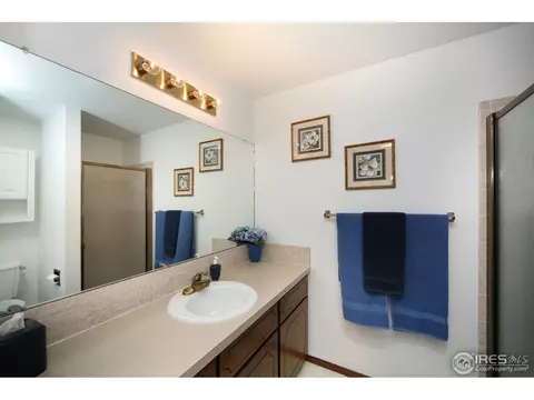1503 Willow Dr, Berthoud, CO 80513 photo 13