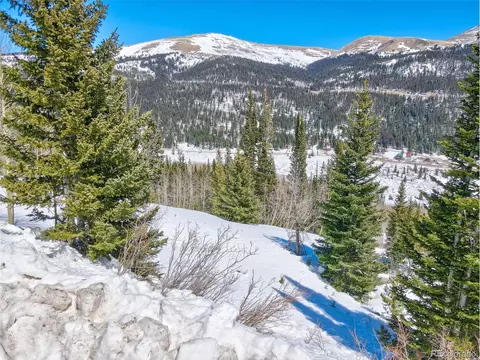 1257 Roberts Rd, Alma, CO 80420