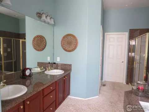 8897 Longs Peak Cir, Windsor, CO 80550 photo 13