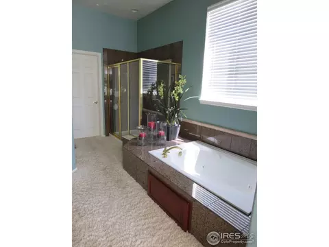 8897 Longs Peak Cir, Windsor, CO 80550 photo 14