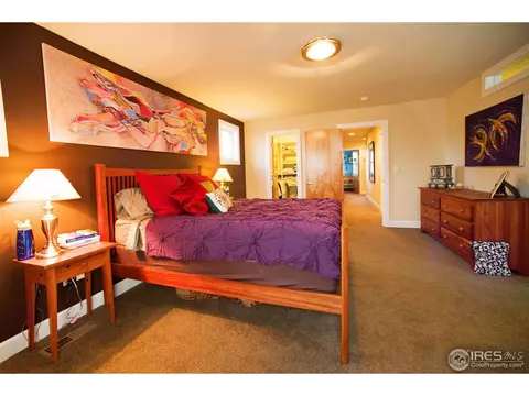 1461 Zamia Ave, Boulder, CO 80304 photo 18