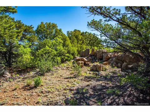 19 Bear Peak, Westcliffe, CO 81252 photo 20