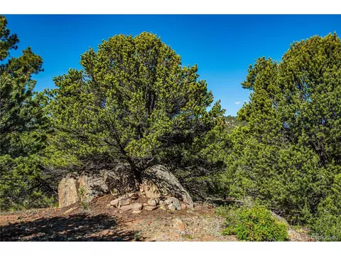 19 Bear Peak, Westcliffe, CO 81252 photo 5
