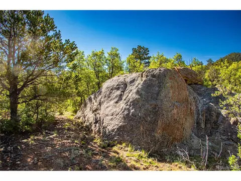 19 Bear Peak, Westcliffe, CO 81252 photo 16