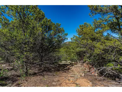 19 Bear Peak, Westcliffe, CO 81252 photo 29