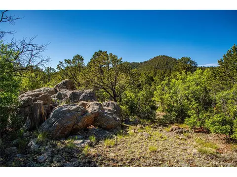 19 Bear Peak, Westcliffe, CO 81252 photo 10