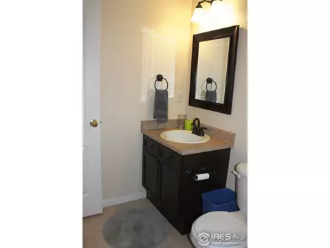 1832 E 164th Pl, Thornton, CO 80602 photo 17