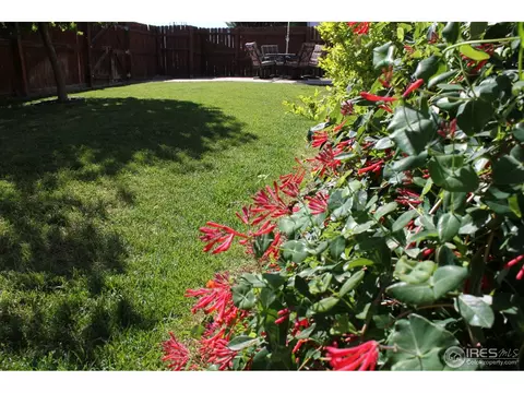 3101 Burro Ct, Evans, CO 80620 photo 17