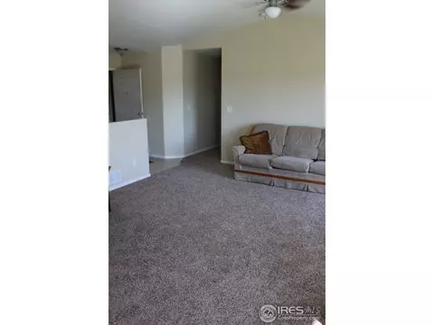 3101 Burro Ct, Evans, CO 80620 photo 10