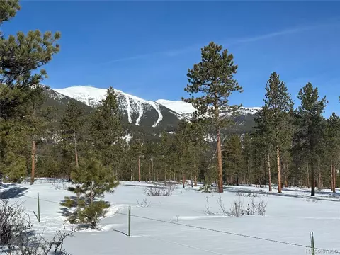 30650 Timberline N, Buena Vista, CO 81211