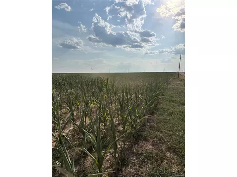 Ne4 27 10s 45w, Bethune, CO 80807 photo 5