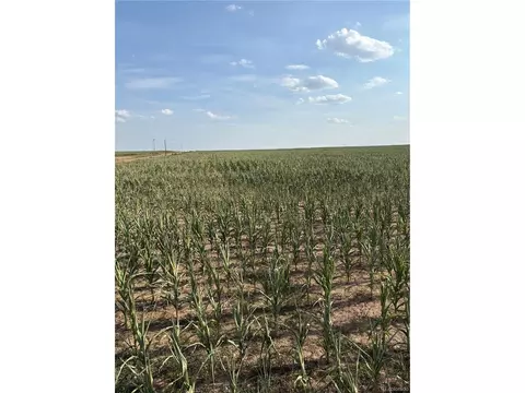 Ne4 27 10s 45w, Bethune, CO 80807 photo 6