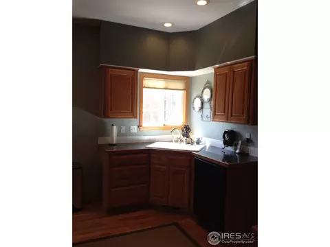 313 E Michigan Ave, Berthoud, CO 80513 photo 15