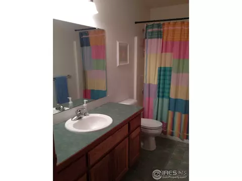 313 E Michigan Ave, Berthoud, CO 80513 photo 19