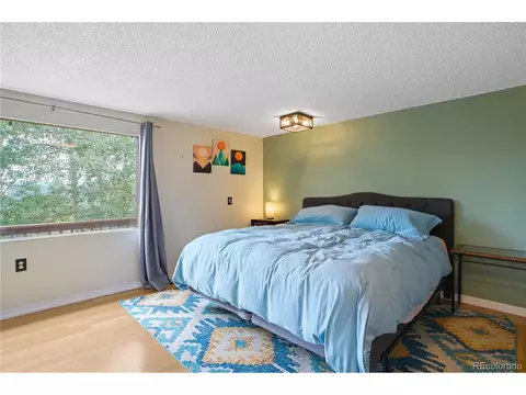 199 Lake Front Dr, Black Hawk, CO 80422 photo 22