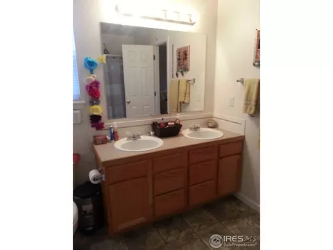 603 Foxtail Way, Severance, CO 80550 photo 10