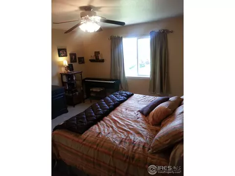603 Foxtail Way, Severance, CO 80550 photo 9