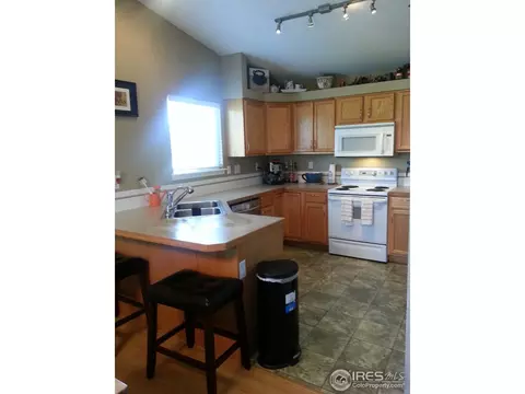 603 Foxtail Way, Severance, CO 80550 photo 4