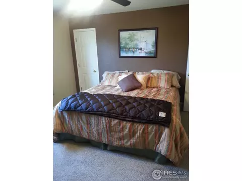 603 Foxtail Way, Severance, CO 80550 photo 8