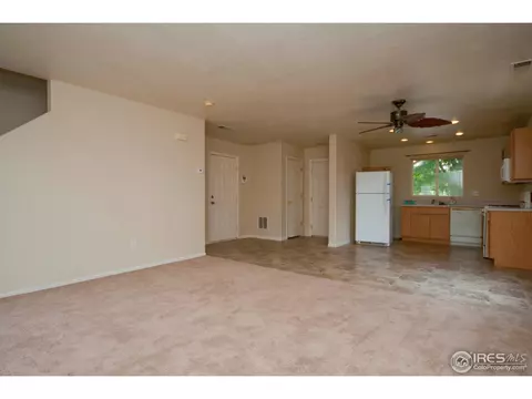 4924 E 101st Ct, Thornton, CO 80229 photo 9