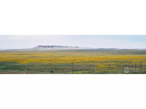 9368 Stevenson Ave, Carr, CO 80612 photo 25