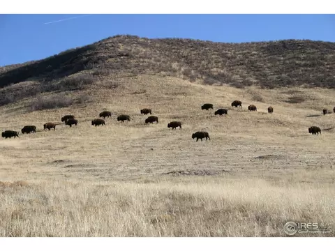 9368 Stevenson Ave, Carr, CO 80612 photo 24