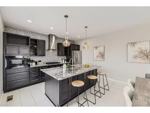 10910 Touchstone Loop, Parker, CO 80134 photo 10