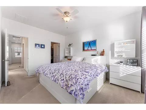 8790 E 54th Pl, Denver, CO 80238 photo 12