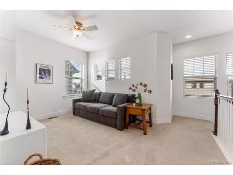 8790 E 54th Pl, Denver, CO 80238 photo 18