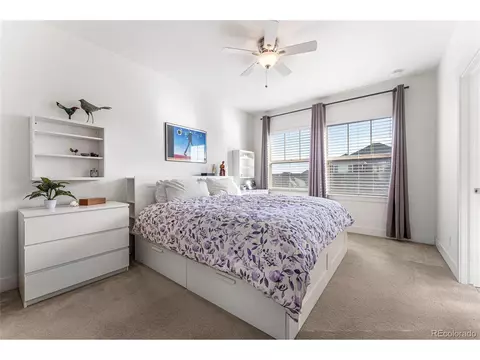 8790 E 54th Pl, Denver, CO 80238 photo 11