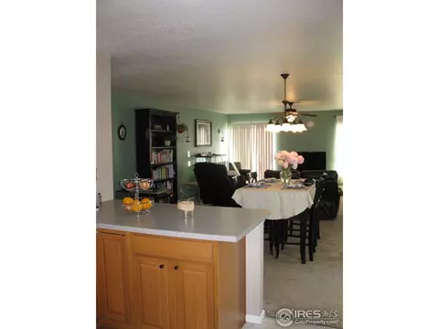 7485 Hickory Cir, Frederick, CO 80504 photo 10
