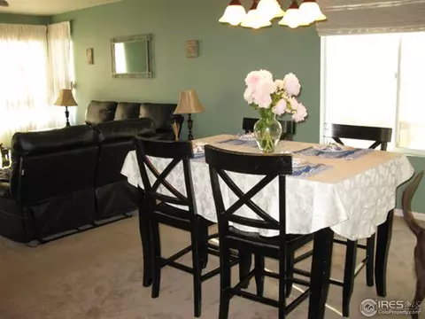 7485 Hickory Cir, Frederick, CO 80504 photo 9
