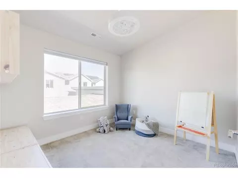 9975 E 59th Ave, Denver, CO 80238 photo 22