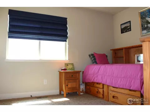 651 Denali Ct, Windsor, CO 80550 photo 20