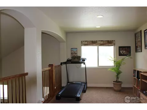 651 Denali Ct, Windsor, CO 80550 photo 12