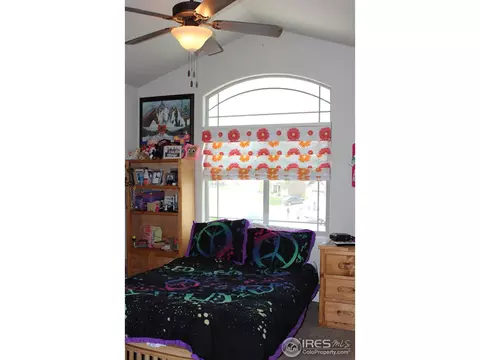 651 Denali Ct, Windsor, CO 80550 photo 21