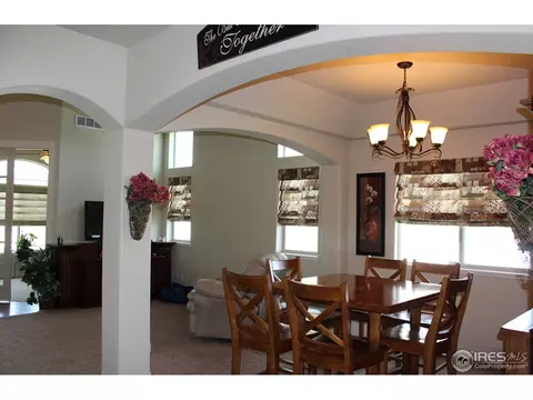 651 Denali Ct, Windsor, CO 80550 photo 4