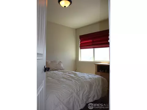 651 Denali Ct, Windsor, CO 80550 photo 19
