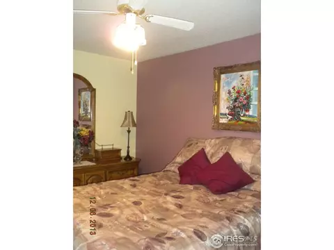 158 Beacon Way, Windsor, CO 80550 photo 14